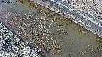 area10-20250331143035.jpg