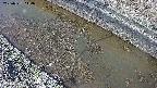 area10-20250331144038.jpg