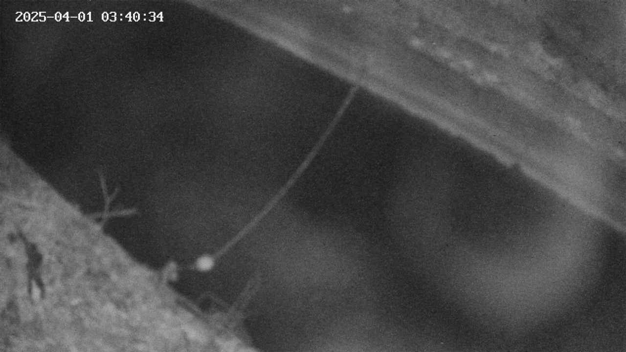 area10-20250401034035.jpg