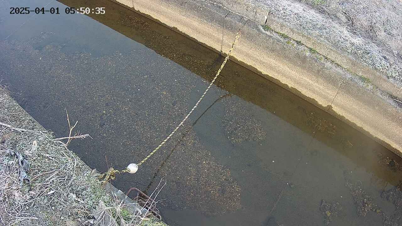 area10-20250401055035.jpg