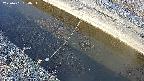 area10-20250401064035.jpg