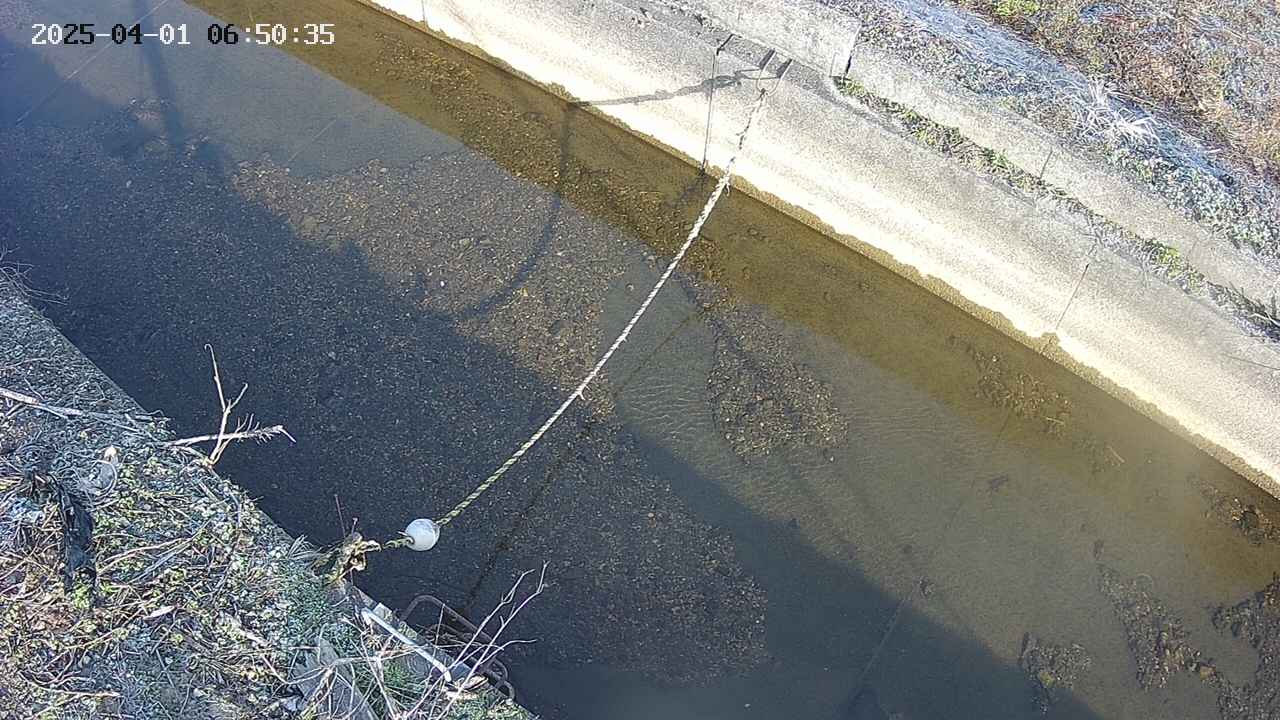 area10-20250401065036.jpg
