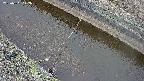 area10-20250401112037.jpg