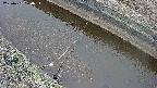 area10-20250401120036.jpg