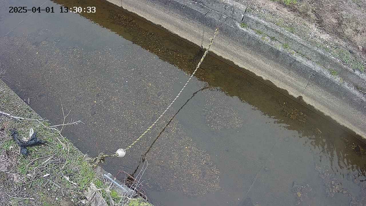 area10-20250401133035.jpg