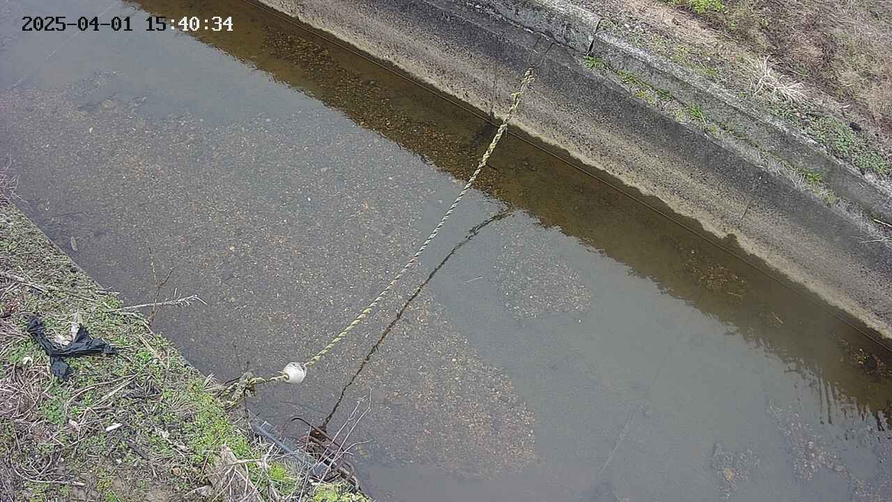 area10-20250401154036.jpg