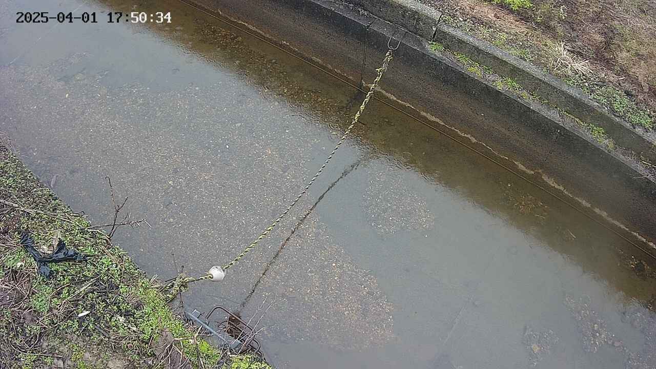 area10-20250401175036.jpg