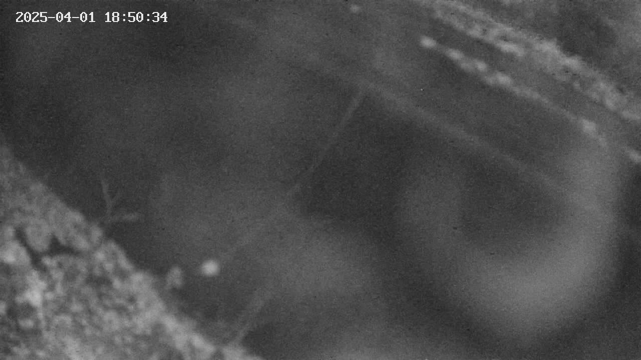 area10-20250401185036.jpg