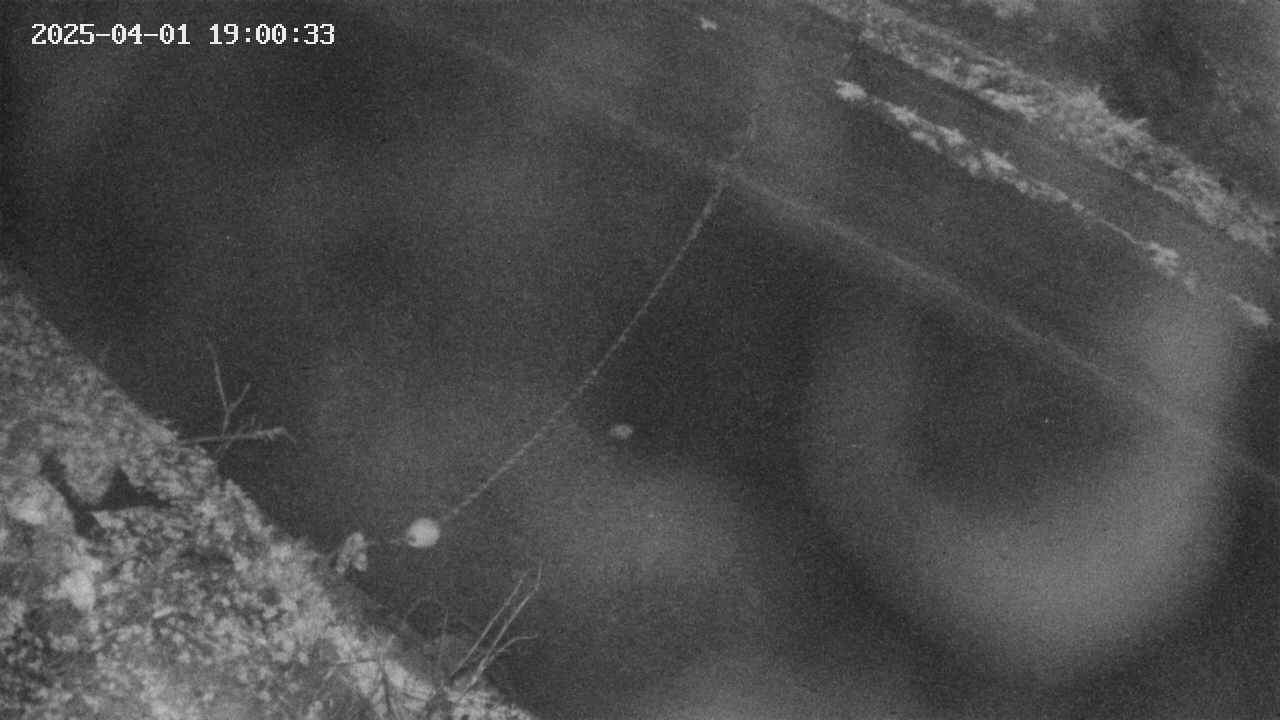 area10-20250401190035.jpg