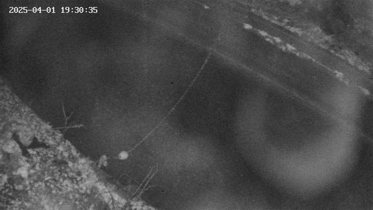 area10-20250401193037.jpg