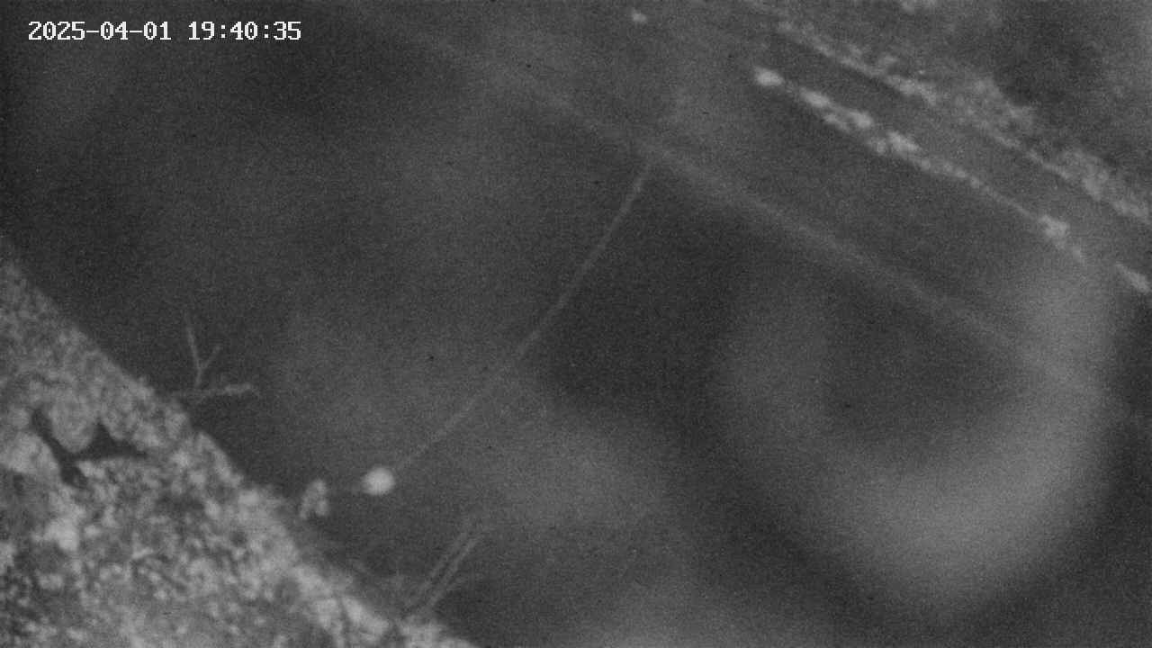 area10-20250401194036.jpg