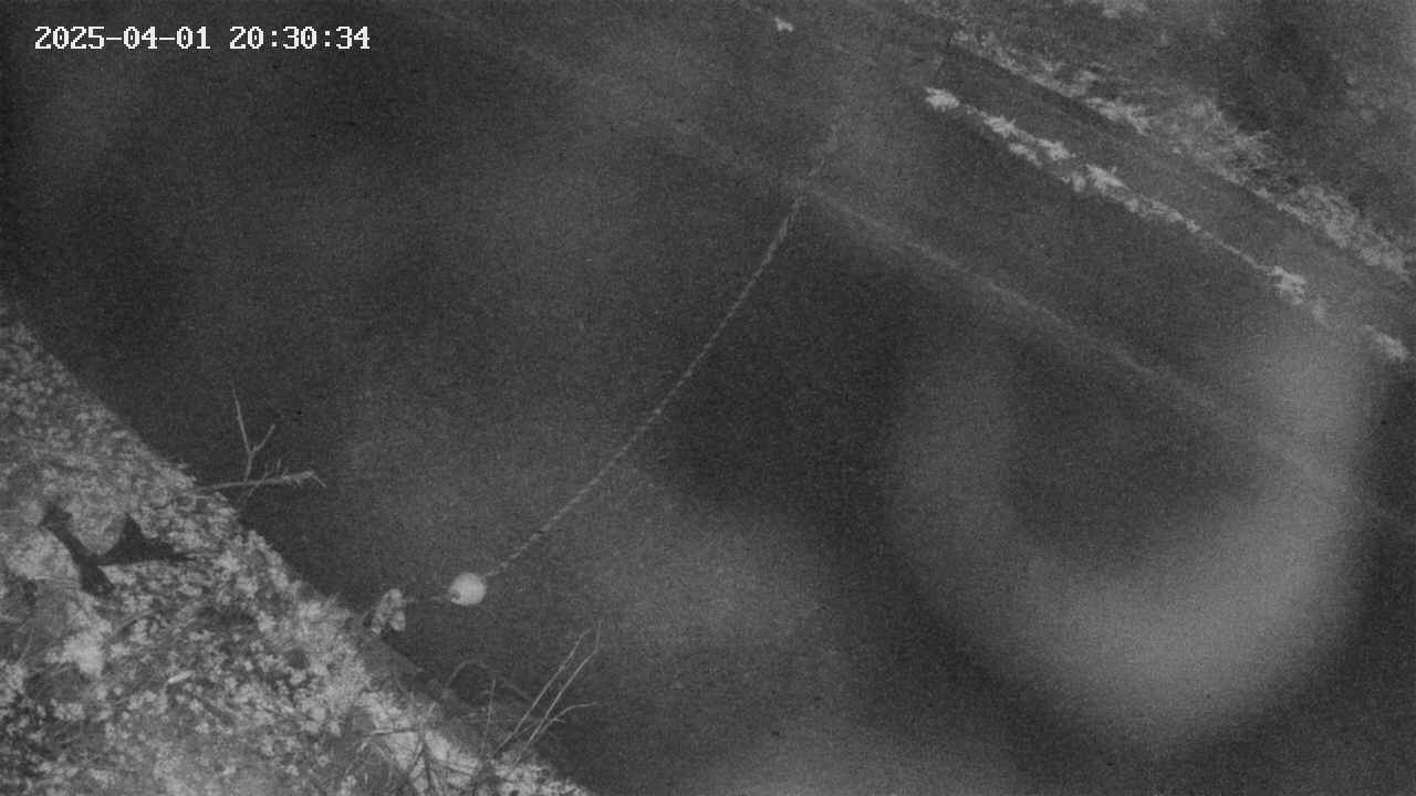 area10-20250401203036.jpg
