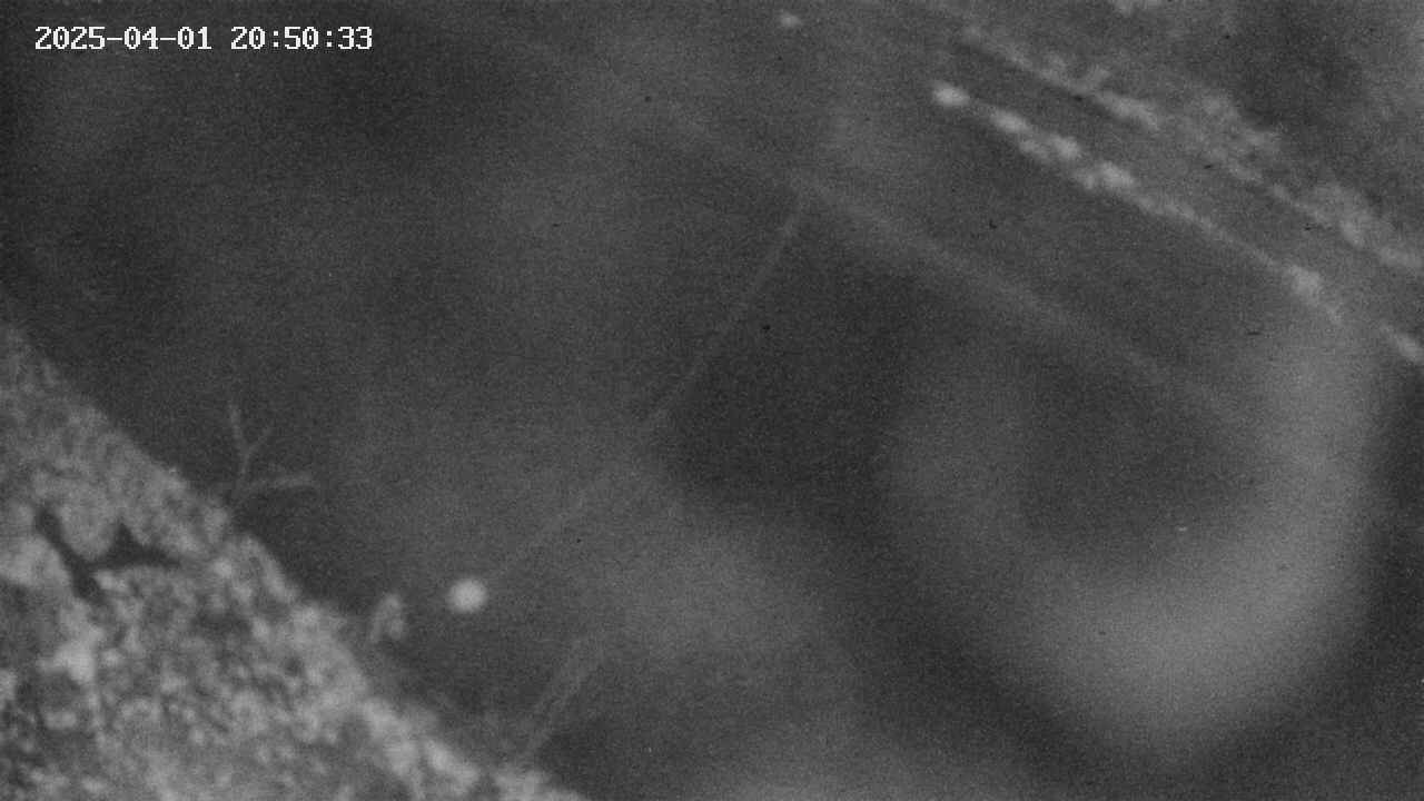 area10-20250401205034.jpg
