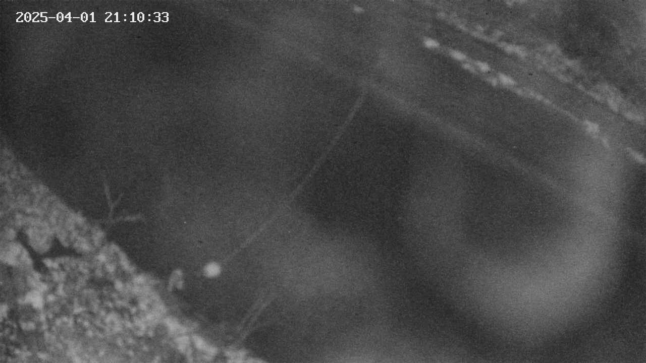 area10-20250401211035.jpg