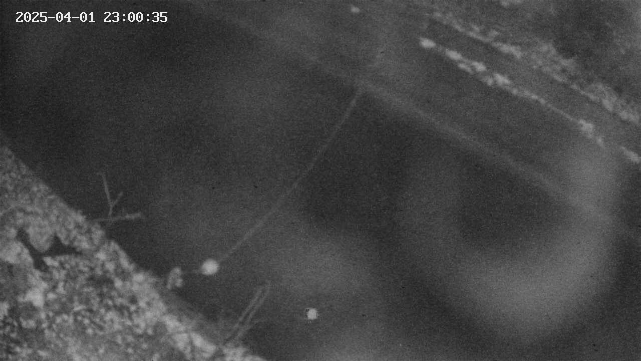 area10-20250401230036.jpg