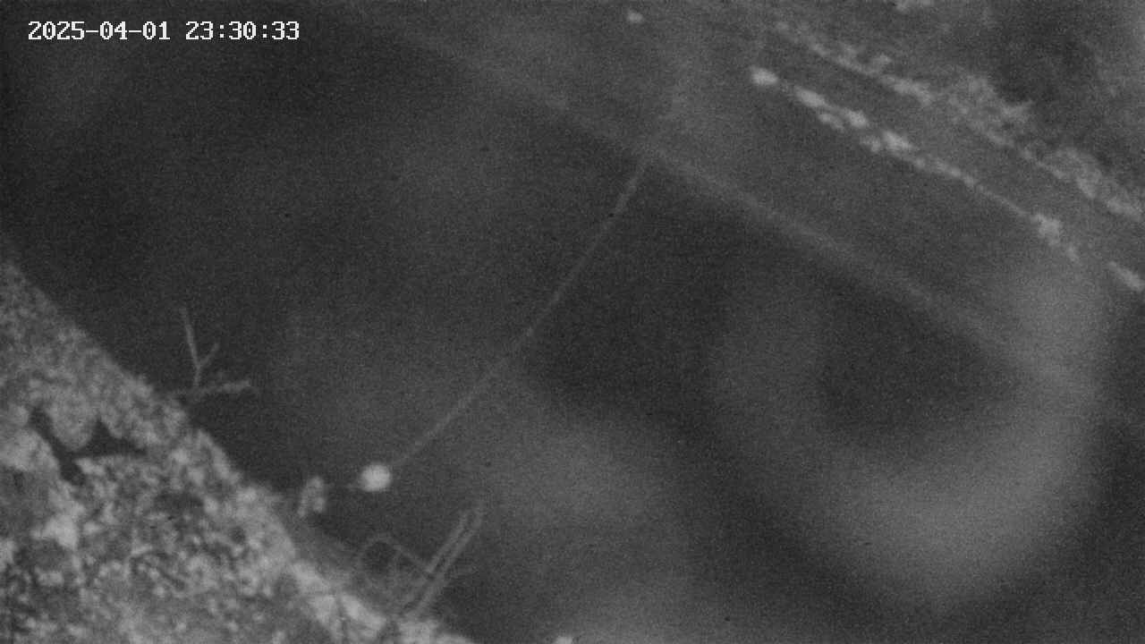 area10-20250401233034.jpg