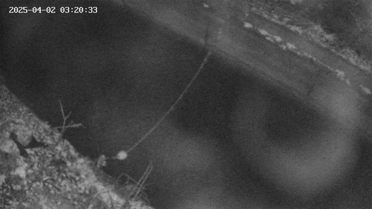 area10-20250402032034.jpg