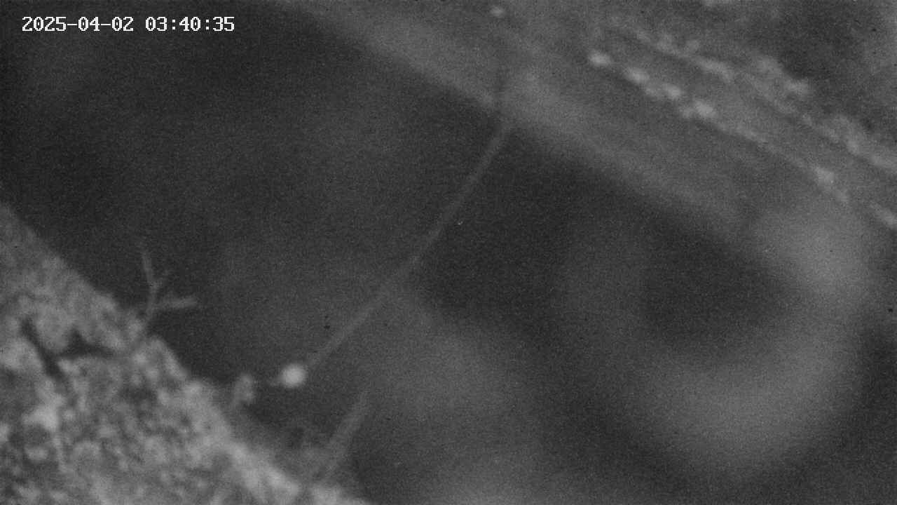 area10-20250402034036.jpg