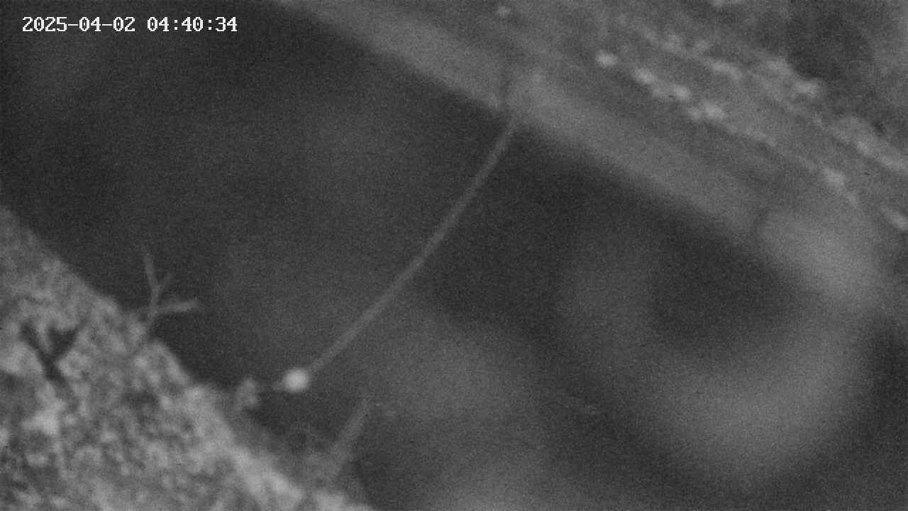 area10-20250402044035.jpg