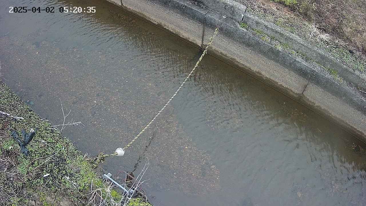 area10-20250402052036.jpg