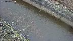 area10-20250402052036.jpg