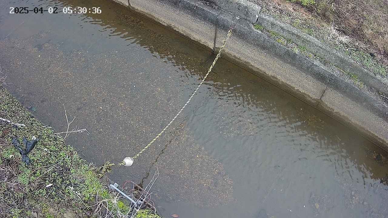 area10-20250402053037.jpg