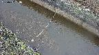 area10-20250402053037.jpg