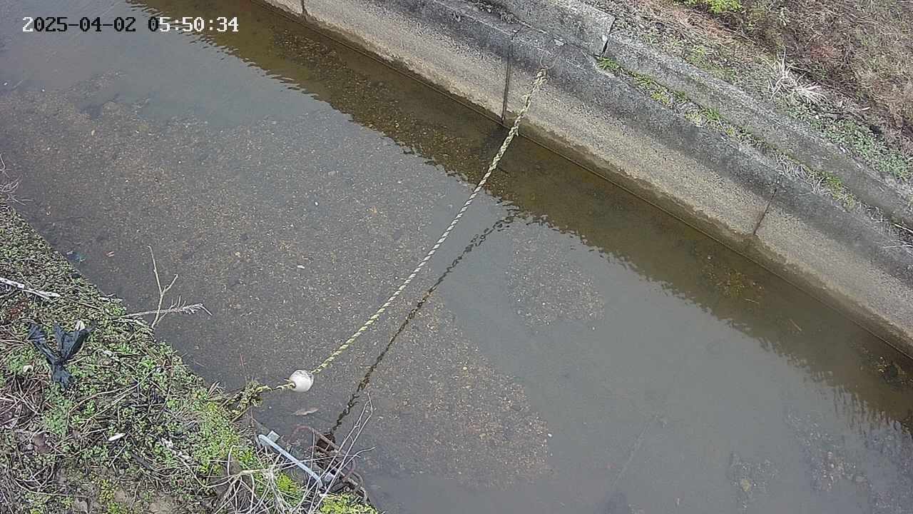 area10-20250402055035.jpg