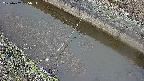 area10-20250402055035.jpg