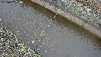 area10-20250402060036.jpg
