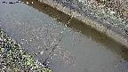 area10-20250402061035.jpg