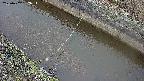 area10-20250402062035.jpg