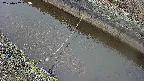 area10-20250402063035.jpg