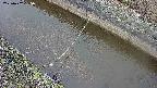 area10-20250402065036.jpg