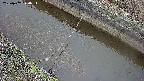 area10-20250402070035.jpg