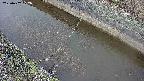 area10-20250402072036.jpg