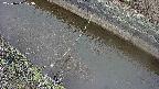 area10-20250402073037.jpg