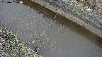 area10-20250402075037.jpg