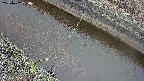 area10-20250402080037.jpg
