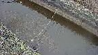 area10-20250402081036.jpg