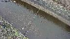area10-20250402083035.jpg