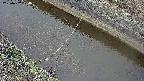 area10-20250402084036.jpg