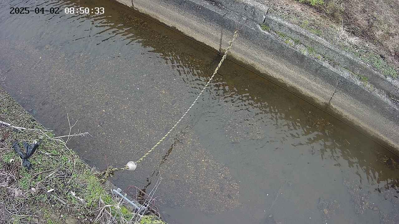 area10-20250402085034.jpg