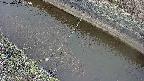 area10-20250402085034.jpg