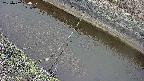 area10-20250402090038.jpg