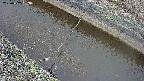 area10-20250402093035.jpg