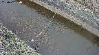 area10-20250402094033.jpg