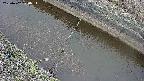 area10-20250402100036.jpg