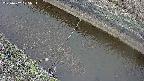 area10-20250402105036.jpg