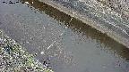 area10-20250402112036.jpg